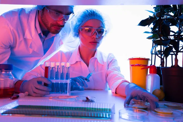 Científicos durante el trabajo en laboratorio — Foto de Stock