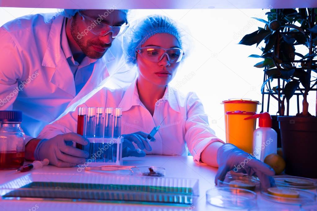 Scientists during work at laboratory 