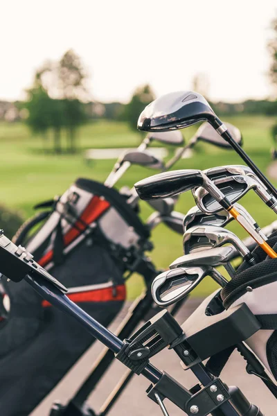 Golf clubs in bags — Stock Photo, Image