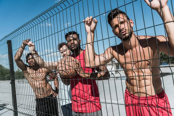 Jogadores multiculturais de basquete — Fotografia de Stock Grátis