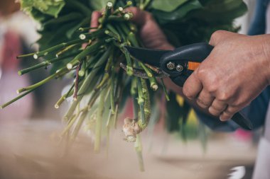 Kesme çiçekler çiçekçi