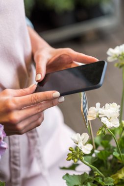 Akıllı telefon kullanan kadın