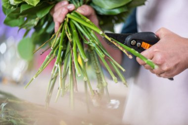 Kesme çiçekler çiçekçi