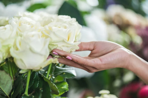 Mão com belas rosas — Fotografia de Stock