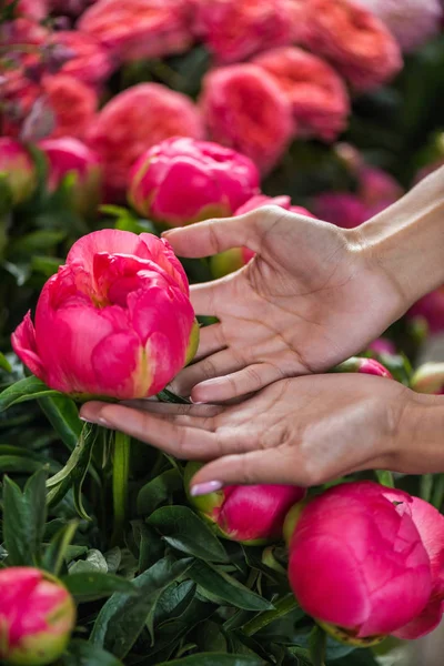 Mani con belle peonie — Foto Stock