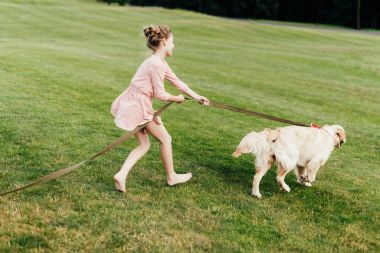 köpek parkta yürüyen kız