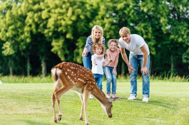 deer Park bakarak aile