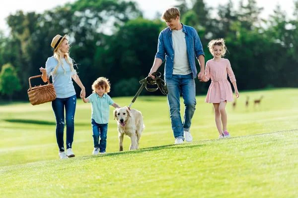 Family with dog walking at park — Stock Photo, Image