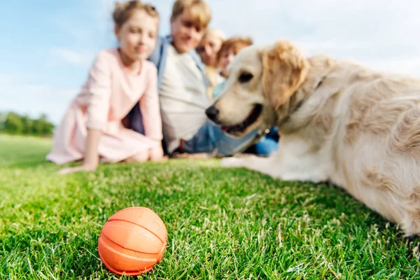 Keluarga dengan anjing di taman — Stok Foto