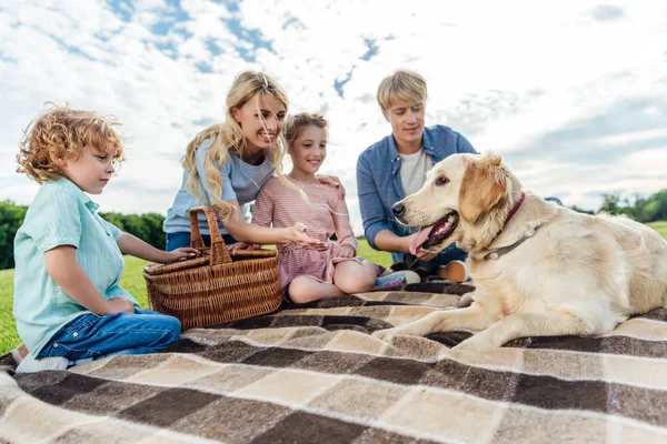 Familj med hund på picknick — Stockfoto