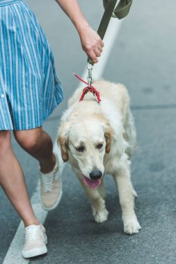 Köpeğiyle gezen kadın.
