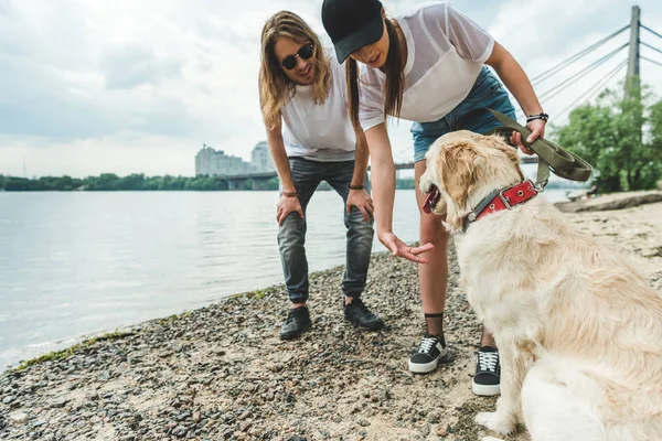 Ungt par med hund — Stockfoto