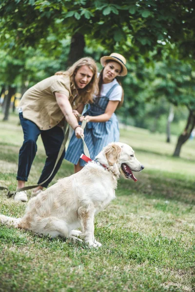 Pari kävelee koiran kanssa — kuvapankkivalokuva