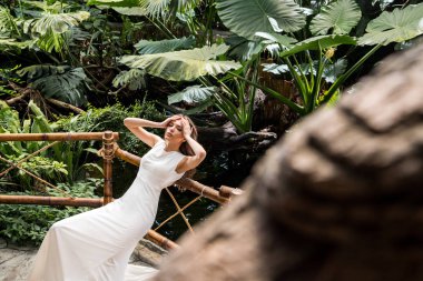 tropikal orangery içinde güzel kadın