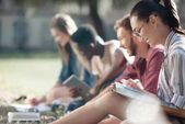 multikulturní studenti studující v parku 