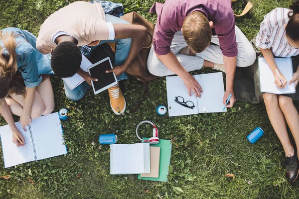 Studenti multietnici che studiano insieme — Foto Stock