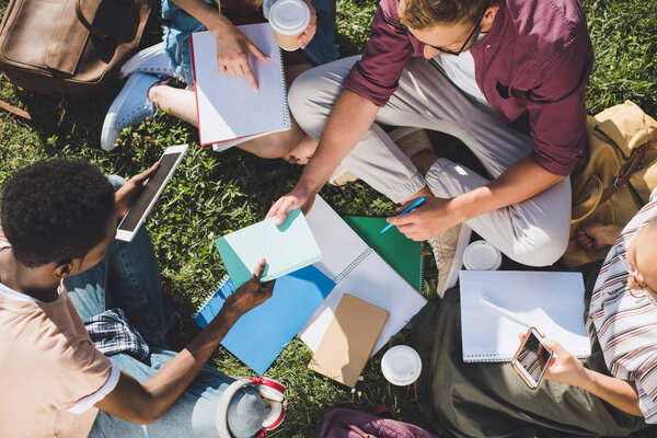 multiethnic students studying together 