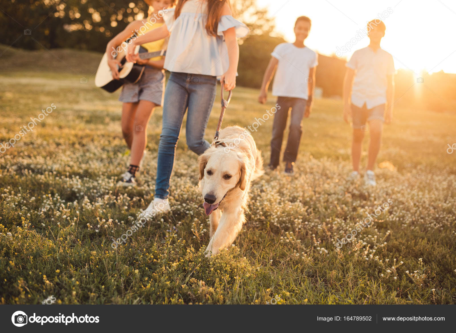Jugendliche gehen mit Hund im Park spazieren Stockfotografie