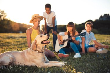 gençler ile köpek park