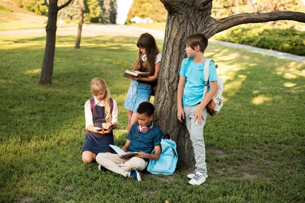 Adolescentes multiétnicos estudiando en el parque — Foto de Stock