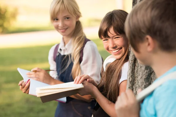 Teenagers studying in park — Stock Photo, Image