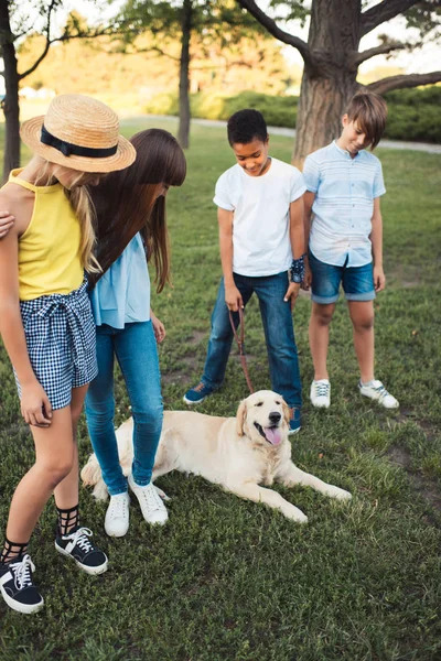 วัยรุ่นกับสุนัขในสวนสาธารณะ — ภาพถ่ายสต็อก