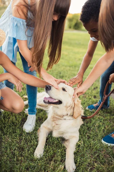 Remaja membelai anjing — Stok Foto