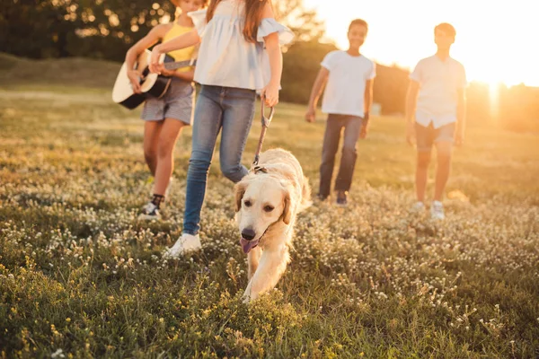 Teenagers with dog walking in park — Stock Photo, Image