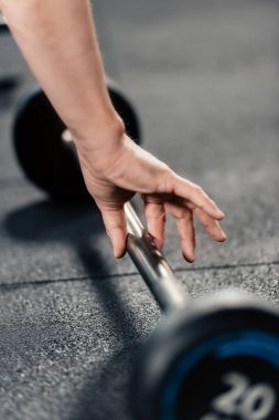 Halter salonunda ile eğitim sporcu kırpılmış görünümünü    