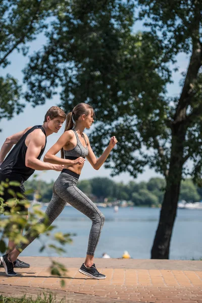 Pareja deportiva trotando en el parque — Foto de Stock