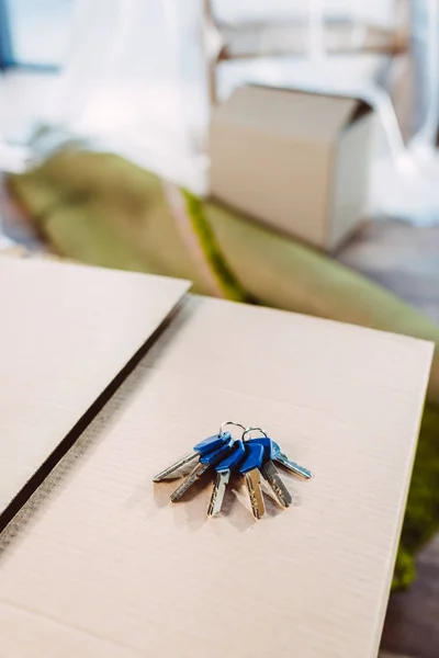 Keys on cardboard box — Stock Photo, Image