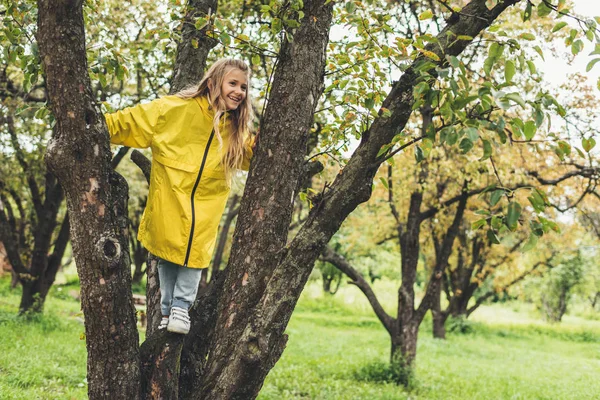 Child in raincoat on tree — Free Stock Photo