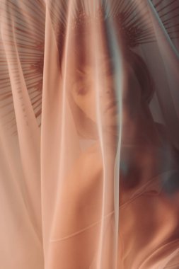 sensual woman behind the veil clipart