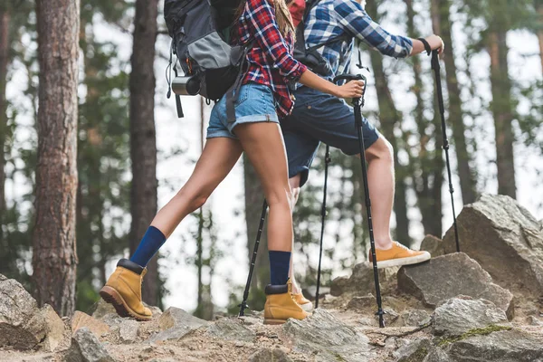 Hiking trip — Stock Photo, Image