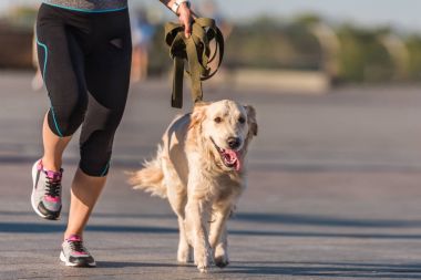 sporcumuz köpek ile jogging