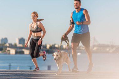 sporcumuz ve sporcu köpek ile jogging