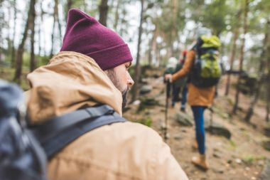 Sonbahar ormanındaki adam