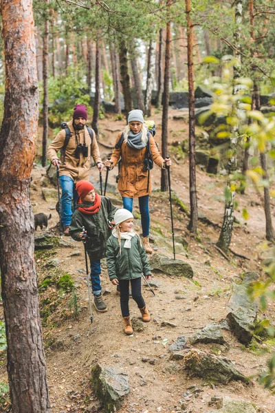 Caminata familiar en bosque de otoño — Foto de Stock