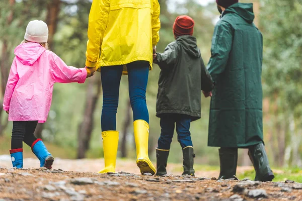 Família em capas impermeáveis andando na floresta — Fotografia de Stock