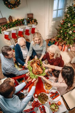 büyük aile Noel hindisi holding