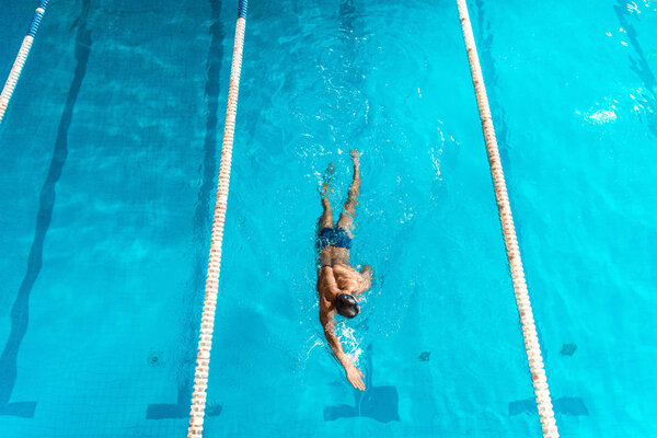swimmer in competition swimming pool