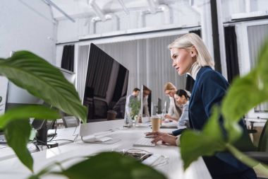 Bilgisayarda çalışan iş kadını