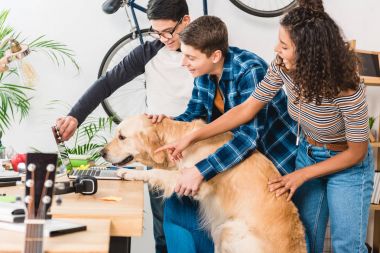 çok ırklı gençler bir şey köpek için dizüstü bilgisayarda gösterilen