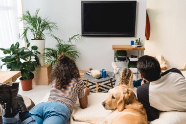 TV izlerken, köpek ile yatakta yatarken gençler