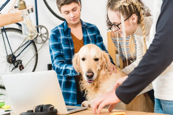 Adolescentes Felizes Palming Cão Sentado Cadeira — Fotografia de Stock Grátis