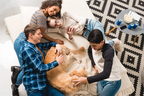 多文化共生の十代の若者たちのベッドで横になっていると 犬をパーミングのオーバー ヘッド ビュー — ストック写真