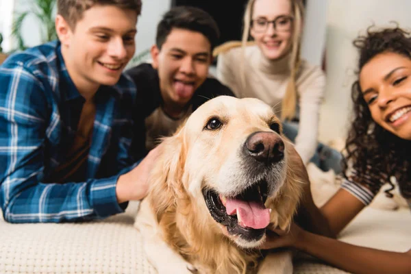 Happy Multiethnic Teenagers Palming Dog — Stock Photo, Image