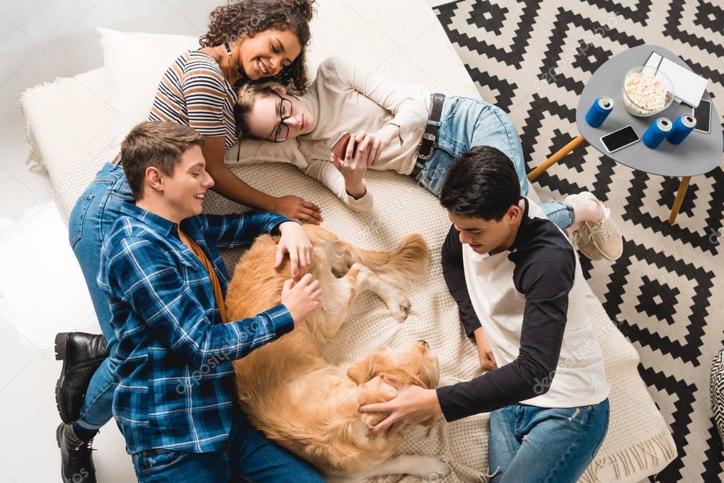 overhead view of multicultural teens lying on bed and palming dog