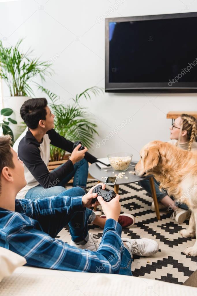 boys playing video game using tv flat screen