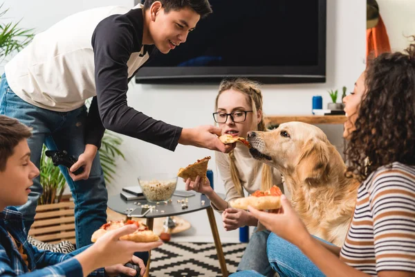 Adolescente Dando Pedaço Pizza Para Cão — Fotografia de Stock